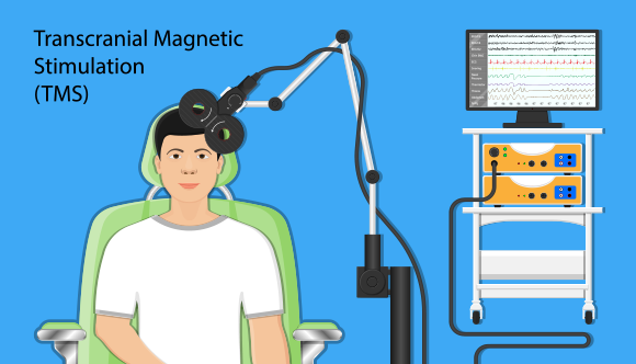 magnetic-simulation