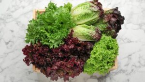 Do you eat these 2 salads in summer? Here is why they are far from ideal