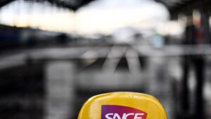 Is your cat under a TGV? SNCF now gives it 20 minutes
