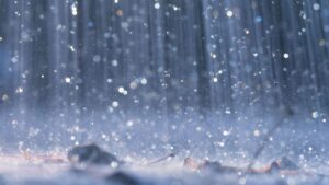 In Japan, traces of insecticides detected in rainwater