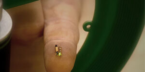 Soon miniature fleas in the brain to cure degenerative diseases