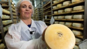 Pag cheese, centuries of tradition and spray