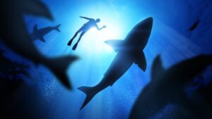 Shark seen in Porquerolles: How to react in the event of a meeting?