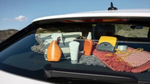 These objects not to leave in your car in the heat wave