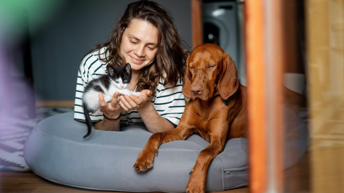 Almost one in two French people prefer to spend time with your animal rather than with your partner