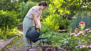 Do you garden this summer? Here are the 7 unknown dangers for your health, according to an emergency doctor