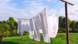 Drying your laundry outside is not always a good reflex? Dr. Kierzek explains why