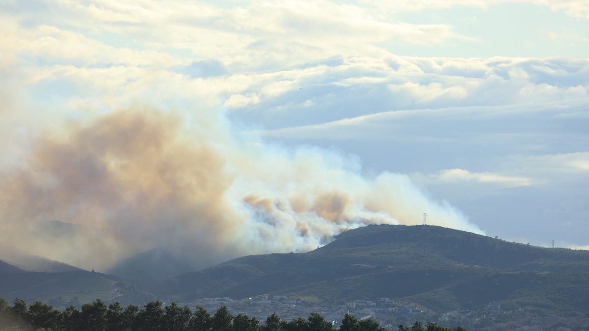 Fire in Aude: What to do immediately to protect you, according to Dr. Kierzek