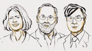 Nobel Prize in Medicine 2025: When our cells regulate our defenses