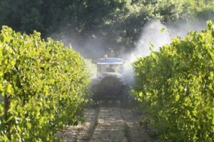 Pediatric cancers in Charente, some groupings worry but remain unexplained