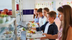 School canteens: plastic still present despite the ban? The investigation which sows doubt