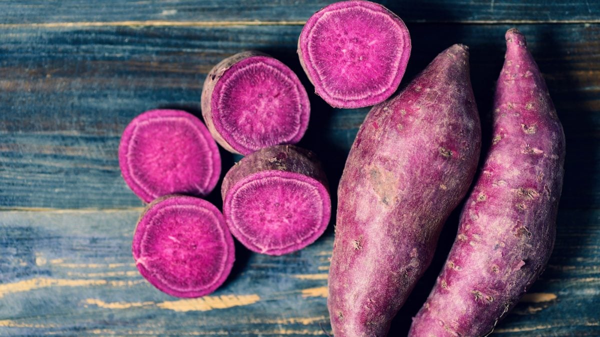 Here is the vegetable that the centenarians of the island of Okinawa are particularly fond of