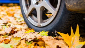 Tires release hundreds of toxic substances into the air, water and onto our plates