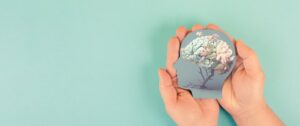 Memory, brain, well-being: good resolutions to adopt from 2026 to stay on top