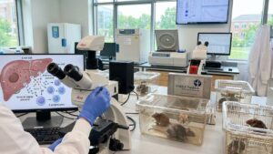 When immunity fatigues with age, this unexpected lead could “rejuvenate” the immune system