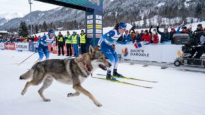 2026 Olympics: this dog appears in the middle of cross-country skiing and finishes the event, these images will mark the Games