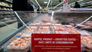 Auchan: these “sulfite-free” shrimp tails urgently recalled, here’s what you need to check
