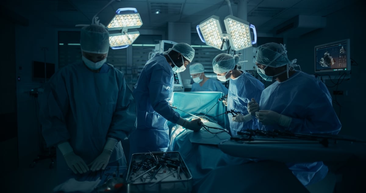 World premiere: In Barcelona, ​​she finds a face thanks to the donation of a euthanized person