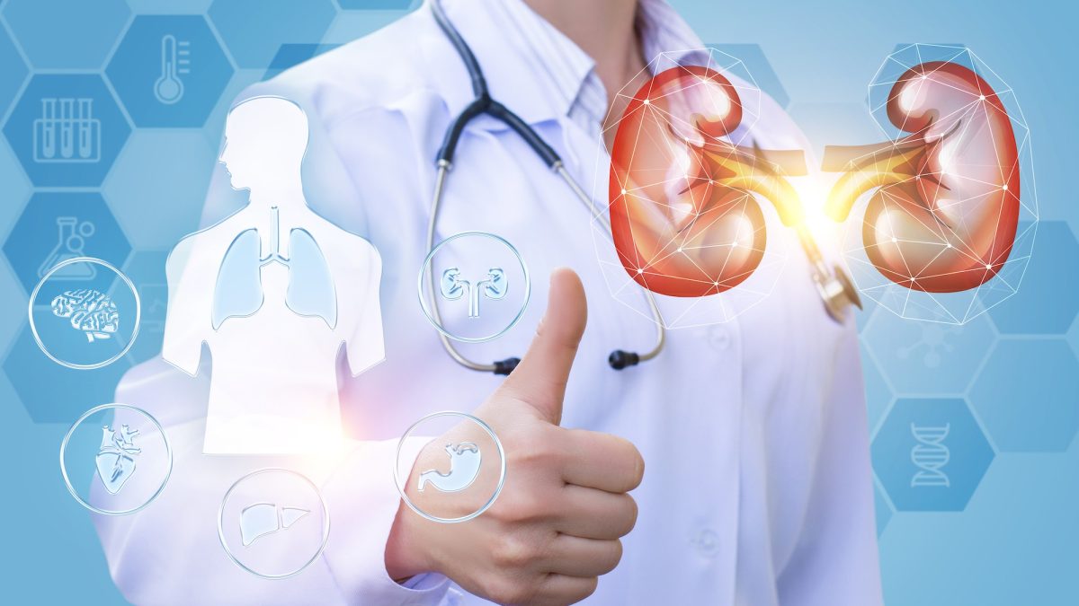 Kidney disease: this invisible scourge that 83% of patients discover by surprise during a test