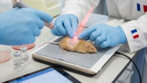 Skin cancer: a graphene dressing capable of destroying cancer cells without a scalpel