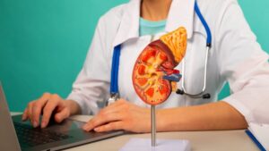 Kidneys in great shape: these 9 foods to adopt urgently to help your body purify itself