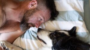 Sleeping with your dog or cat: a bad idea? What science reveals about your sleep