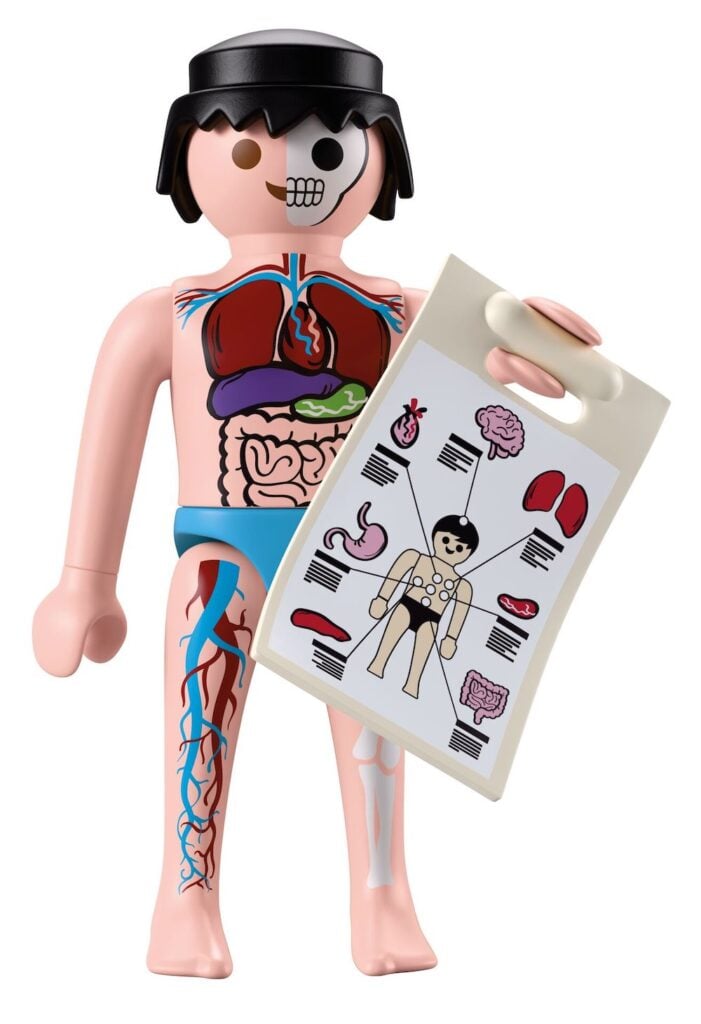 new Playmobil which shows the organs of the human body