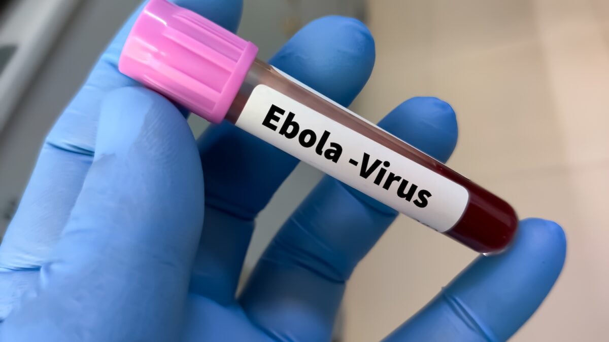 Ebola in the DRC: why the WHO is triggering the international emergency and what it changes for the rest of the world