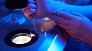 Egg freezing: the long struggle of women facing overwhelmed centers