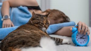 This cat cuts his owner's hair at night... here's what experts reveal about this surprising behavior