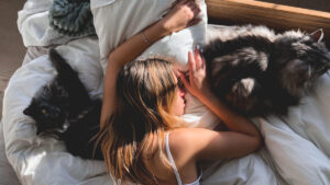 “Do like cats”: Professor Antoine Pelissolo explains why it is crucial to take your foot off the gas in hot weather
