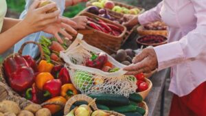 Eating seasonally: a dietitian's secret to easily boost your vitality and protect the planet