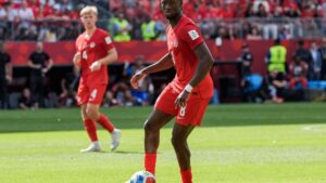 Ismaël Koné victim of a double tibia-fibula fracture, a surgeon deciphers this impressive injury
