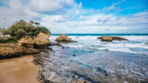 Alert on the beaches of the Basque coast: toxic microalgae causes dozens of victims
