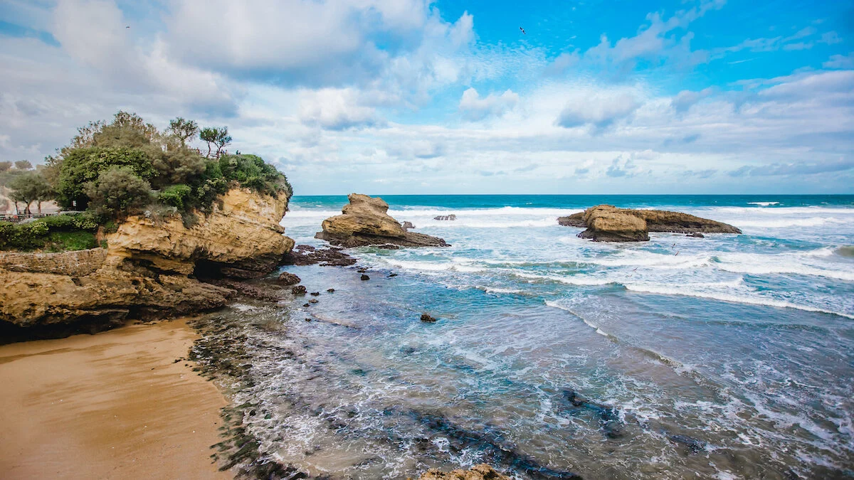 Alert on the beaches of the Basque coast: toxic microalgae causes dozens of victims