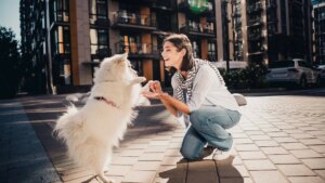 Can't you resist the urge to pet a dog? This gesture reveals a very specific personality trait