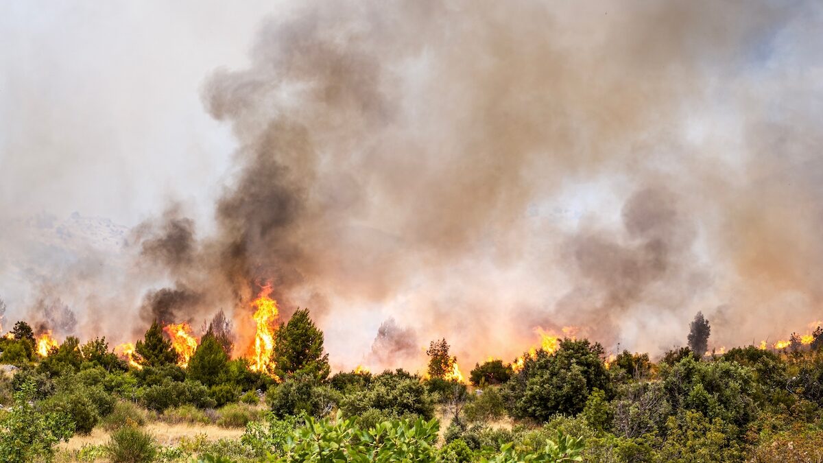 Fire in Fontainebleau: Dr Kierzek's actions to protect your lungs from toxic fumes