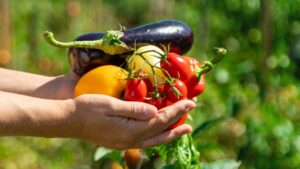 Harvesting your own vegetables in summer: 5 unexpected benefits for morale (even from a balcony)