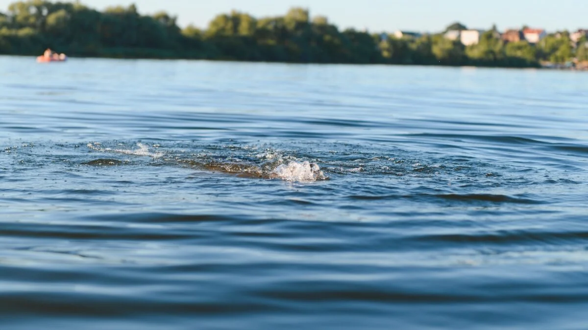 Drownings in Lyon and Haute-Savoie: advice from Dr Gérald Kierzek to avoid these tragedies
