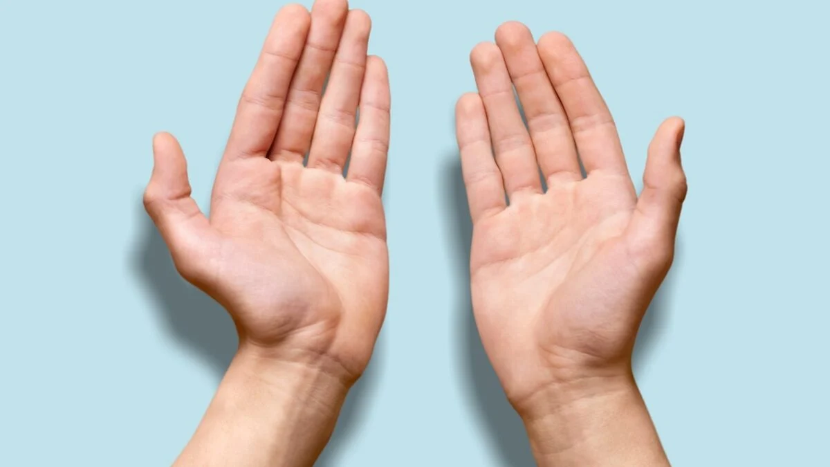 Index fingers, tremors, stains... What your hands can really reveal