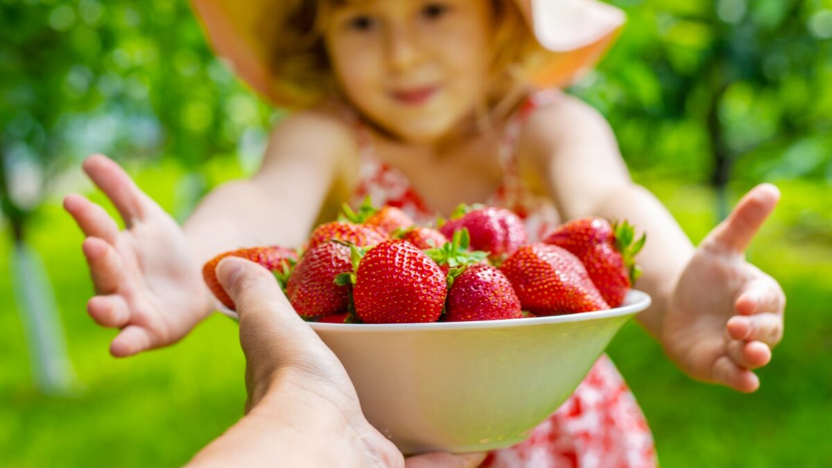 Strawberries: Dr Jean-Michel Cohen explains why this fruit is your best ally for slimming and health this summer