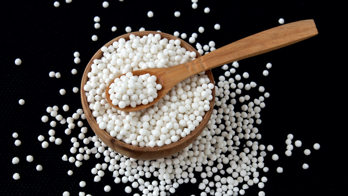 We find it in bubble teas… but is sago really a health ally?