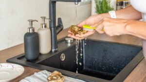 Why you should definitely not wash these 5 foods like eggs or fish according to Alexandra Murcier