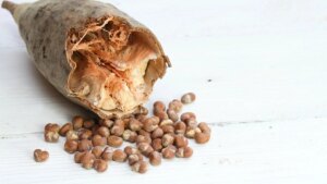 Fiber: this little-known fruit, rich in calcium, contains 10 times more than a kiwi