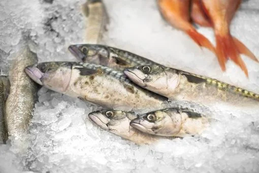 Fresh fish, these 7 signs allow you to check its freshness before buying it