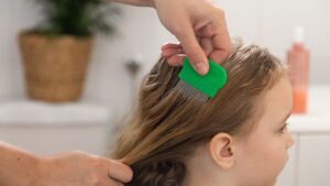 Lice at the start of the school year: should you wash the whole house and treat the whole family?