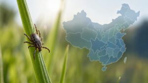 This tick-borne virus looks like a common flu… but makes an already fatal disease worse