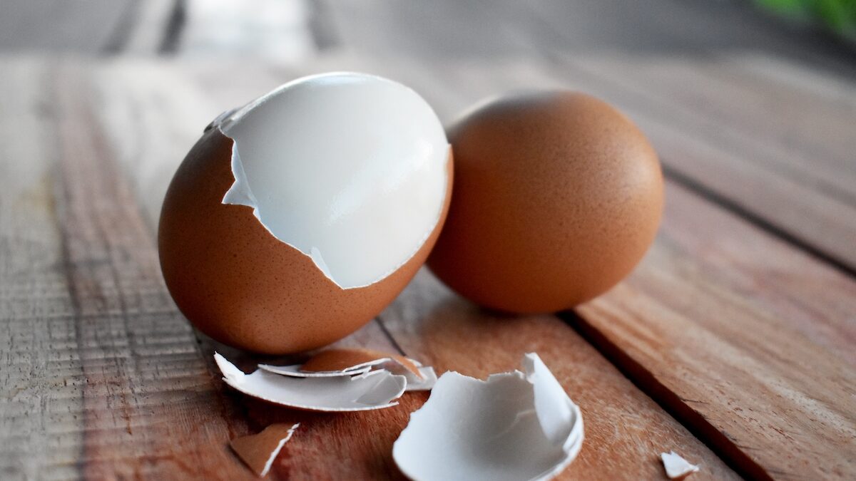 Freezer: don't make this mistake with eggs again, they can become inedible