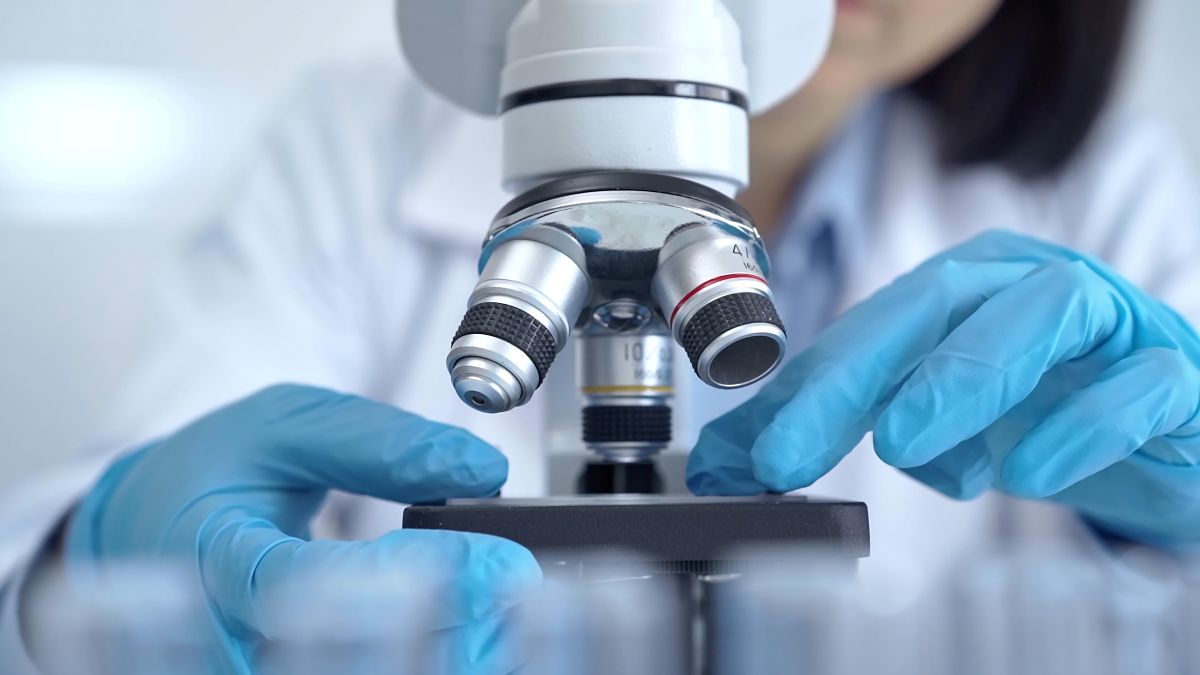 Longevity: dietary “micro-stress” in our cells could help us age well