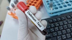She discovers that her colleague was poisoning her bottle: what we know about the dangers of cadmium